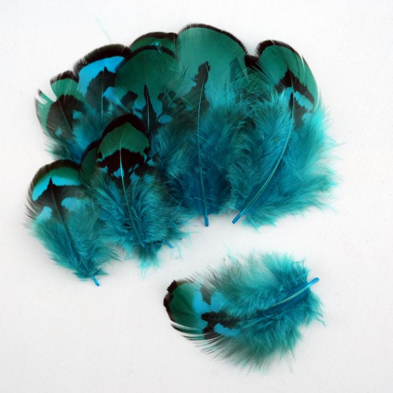 Plumas de Faisán Naturales Teñ - Wedding Supply Bulk reseña y precio